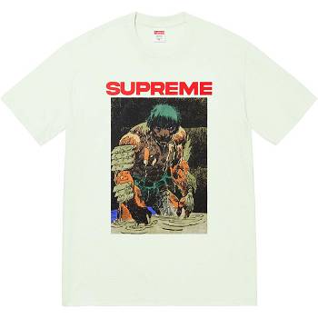 Supreme Ronin Tee T Shirts Mint | AU246MA